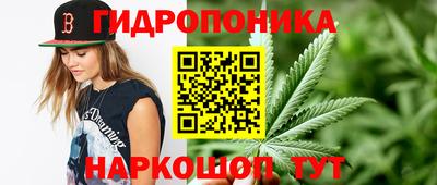 apvp Гай