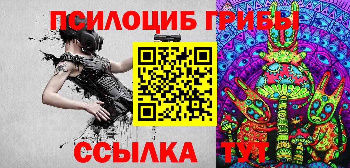 Каменск-Уральский  Галлюциногенные грибы Cubensis  Псилоцибиновые грибы Psilocybe  Вход с VPN 